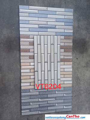 Việt Nhât VT 6204